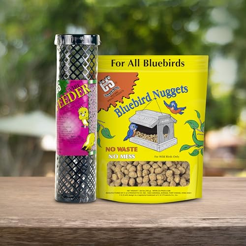 Berry Flavor Suet Nuggets (1.69 Pound (Pack of 1))