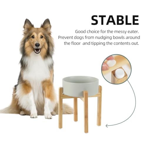 Dog Bowls Elevated (Matte Gray)