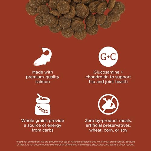Skin + Coat Care Salmon Large Breed Dry Dog Food with Grains (12 Pound (Pack of 1))