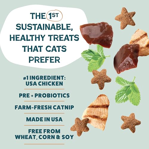 Catnip N Chill Chicken Liver Crunchy Cat Treats (12 Ounce (Pack of 1))