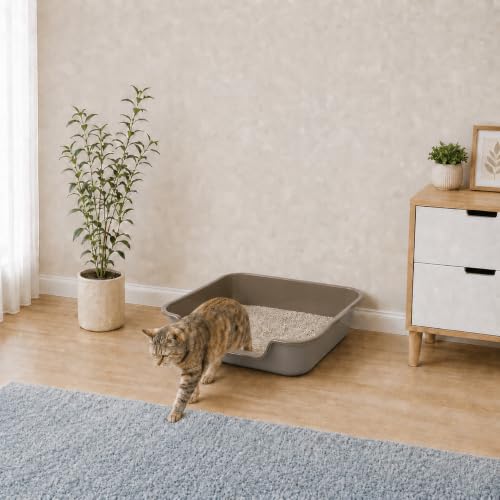 Extra Large Low Entry ABS Cat Litter Box (Large (Pack of 2) / Brown)