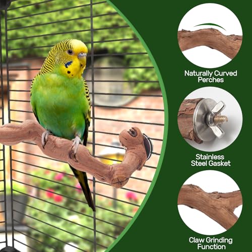 3 Piece Premium Bird Perch Stand with Natural Grape Wood Branch (Grape / 3Piece)