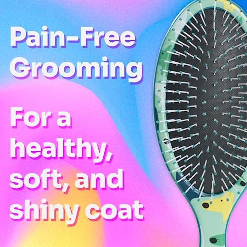 Pet Hair Brush