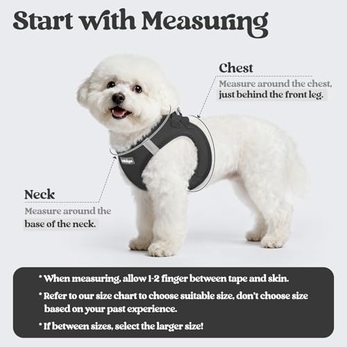 Dog Harness Medium Sized and Leash Set (Black / Xxl (chest: 21.6 - 23.7"))