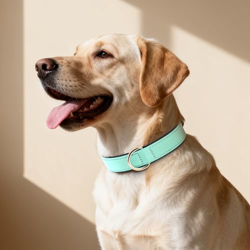 Soft Padded Dog Collars for Large Dogs (Green / XL: Fit 17-23" Neck)