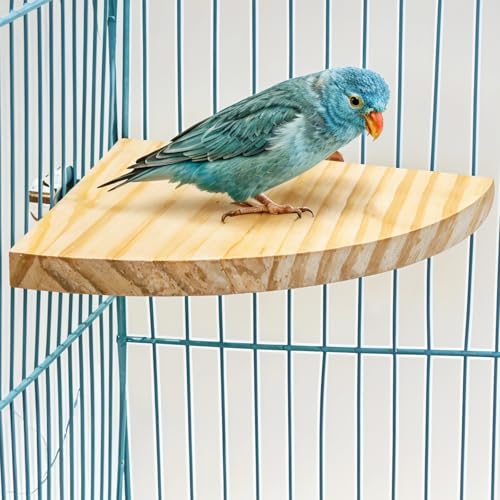 Bird Perch Platform Stand Wooden Parrot Perch Corner 6.7 Inches Fan Shape Playground Cage Accessories Parrot Stand Flat Perches for Bird Cages Corner Shelf for Birds Parrots Hamster Gerbil (17cm x 17cm x 1.2cm)