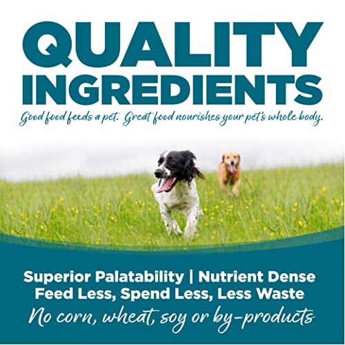 Chicken & Rice Dog Food (4 Pound (Pack of 1))