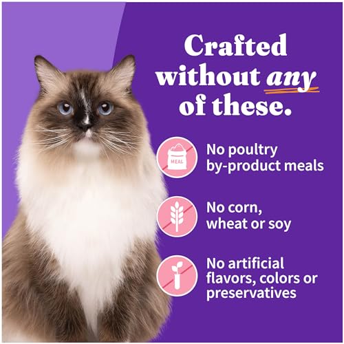 Pate Wet Cat Food