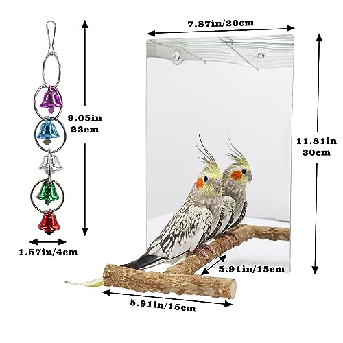 Large Bird Mirror Toy with Perch Stand (11.8 × 7.9 Inch)