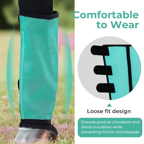 Mesh Horse Fly Boots Set of 4 (Green)