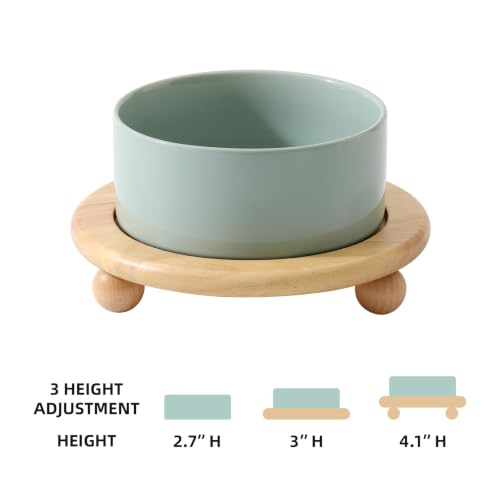 Raised Cat Bowl 6.1” Elevated Ceramic Cat Food and Water Bowl (Light Green)