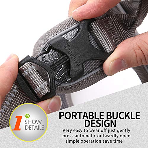 Truelove No Pull Dog Harness with Easy Control Handle and 2 Leash Attachments (Medium / Gray)