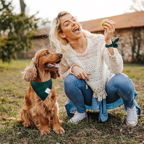 Dog Bandanas & Matching Scrunchie Set Plaid Dog Bibs Scarf Boy Triangle Kerchief Bandana for Small Dogs Puppy Birthday Gifts Pet Owner Mom Green Fall (02-plaid-green / Small)