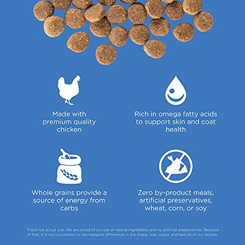 Skin + Coat Care Chicken Dry Dog Food (3.5 Pound (Pack of 1))