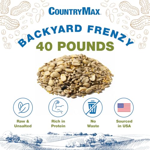 Backyard Seeds 40LB Backyard Frenzy Wild Bird Seed Blend (Backyard Frenzy / 40 Pound (Pack of 1))