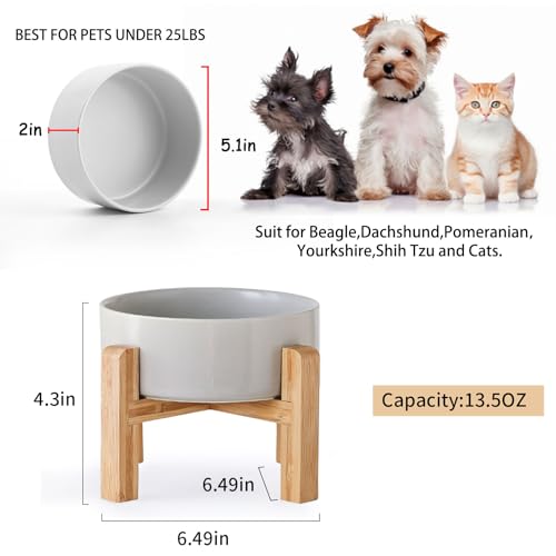 Grey Elevated (Grey / 1.7 Cups - Small)