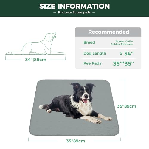 Washable Pee Pads for Dogs (Gray / 35" Square (2 Packs))