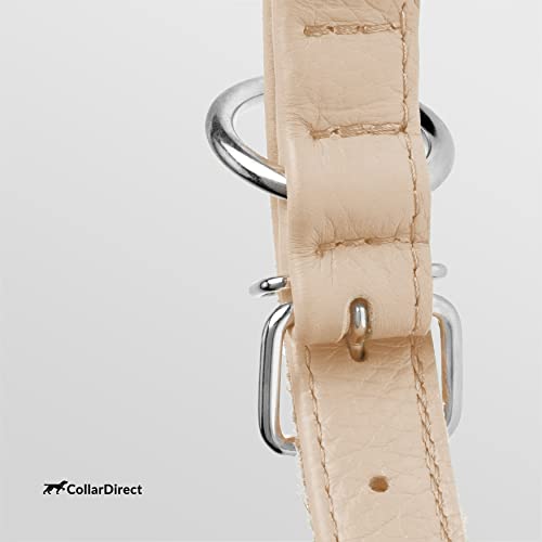 Tangle Free Rolled Leather Dog Collar