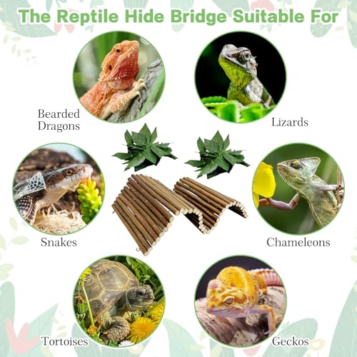 2 PCS Bendable Wooden Reptile Hideout Ladder Bridge Hiding Hut Tunnel Toys Climbing Bridge Chew Toy Habitat Accessories for Bearded Dragons Ball Python Guinea Pigs Rabbits