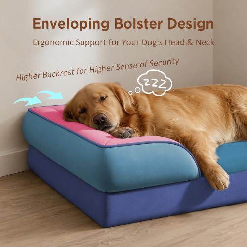 Orthopedic Dog Bed for Extra Large Dogs with Bolster (45.0"L x 35.0"W x 8.5"Th / Enchanted Cove)
