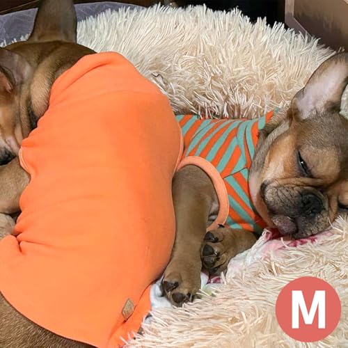 2Pack Dog Sweater for Small Dogs Soft Pet Coats Fleece Sweatshirt (Medium (7-11lbs) / 5# Stripe+Orange)