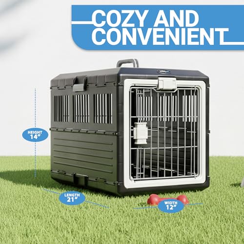 Pet Carrier with Pad (Small - Gray / with travel kit)
