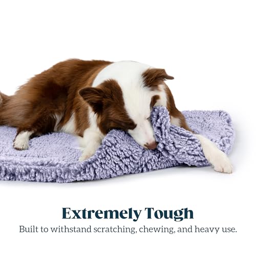 Stoutwool Indestructible Dog Bed (47.0"L x 29.0"W x 2"Th / Jacaranda)