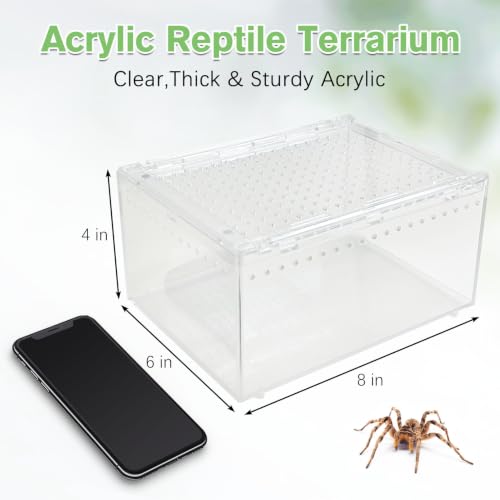 Reptile Terrarium Enclosure 8"x6"x4" Acrylic Tarantula Breeding Box Magnetic Hermit Crab Habitat Transparent Jumping Spider Cage for Insect Snail Amphibians Sling Isopods (S: Standard Version)