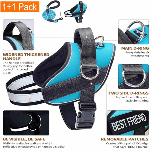 Essential Dog Harness (M / Blue)