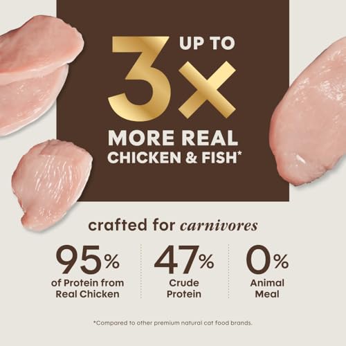 Ultimate Protein Grain Free Cage Free Chicken Recipe Natural Dry Cat Food (10 Pound (Pack of 1))