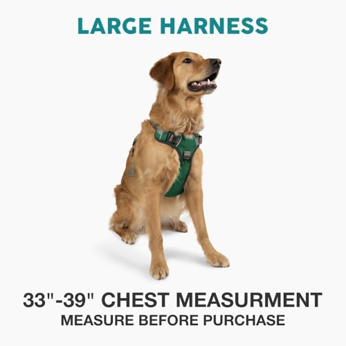 Embark No Pull Dog Harness (L / Green)