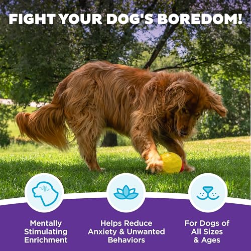 Nina Ottosson Treat Tumble Dog Toy Puzzle Ball (1 Count (Pack of 1))