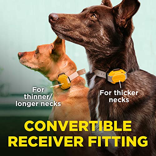 CUE Add On Black Ecollar with Safety Level Lock Boost Vibration Waterproof Rechargeable for Small Medium Large Dogs Dog Training Collar by Dogtra (CUE Receiver Only - Grey)