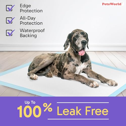 Giant Dog Potty Pads (36x36 Unscented / 600 Count)