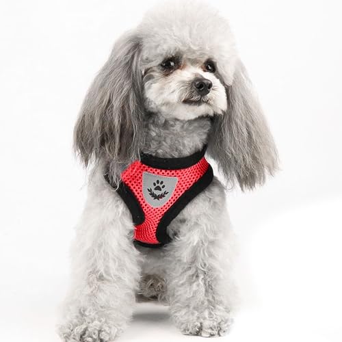 Red Cat Harness and Leash Set (red / L：(Neck:13.77" chest:16.53"-22.04"))