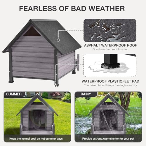 Dog House Outdoor Indoor All