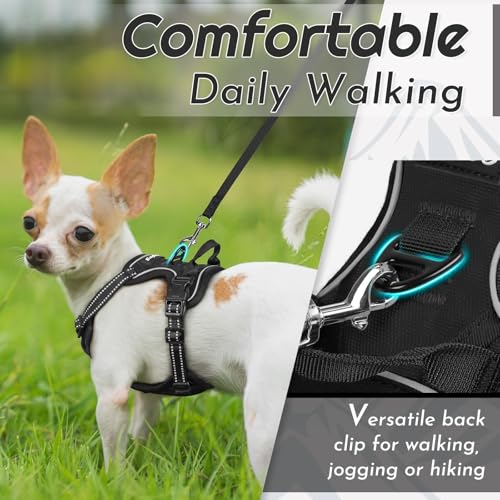 Dog Harness for Small Dogs (X-Small / Black)
