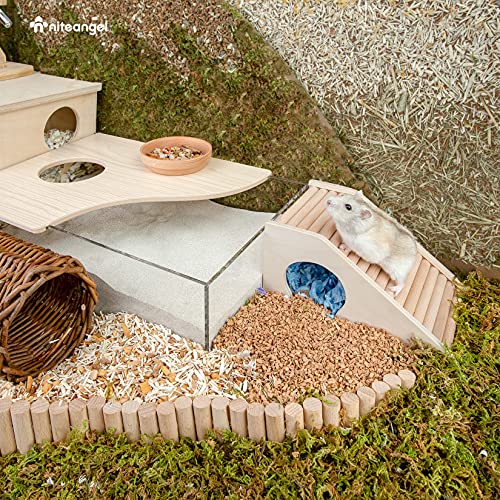 Hamster House w