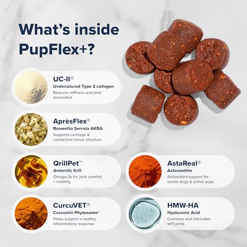 PupFlex+ Hip and Joint Supplement Dogs