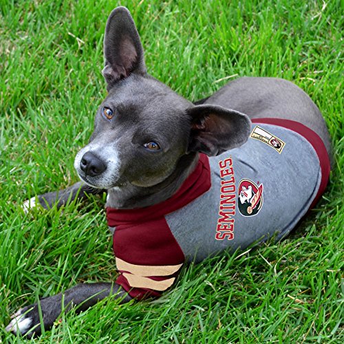 Hoodie for Dogs & Cats (Florida State Seminoles / X-Small)