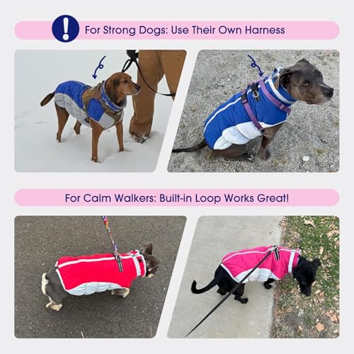 Dog Jacket for Large Dogs Warm Dog Jackets with Harness Built in (Green Plaid / XXXL(chest:43in))