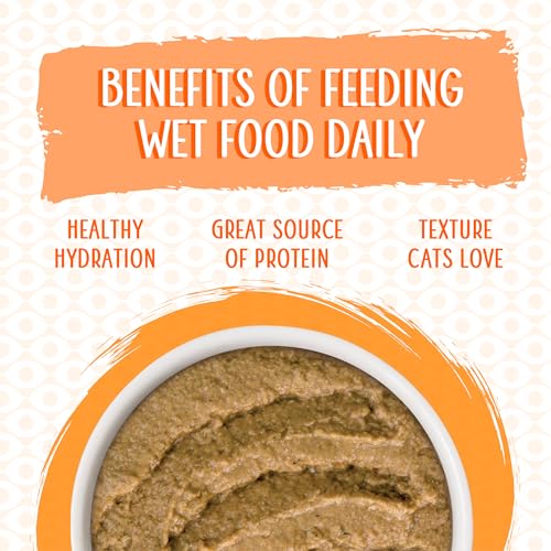Wet Cat Food Love Connection with Chicken and Salmon Pate (5.5 Ounce (Pack of 12))