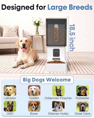 Large Dog Automatic Feeder