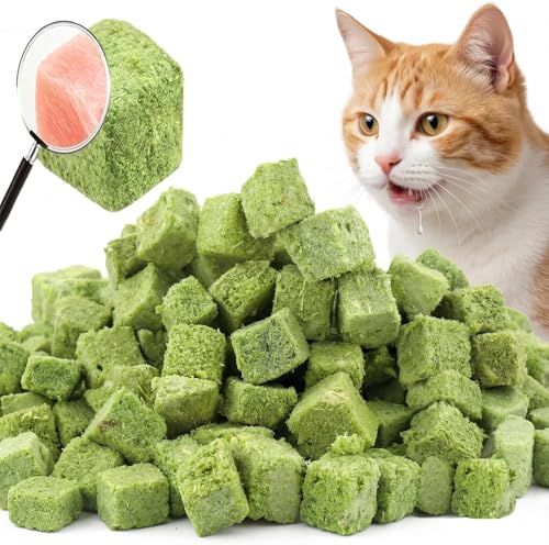 Cat Grass Treat Indoor 250g (8.82 Ounce (Pack of 1))