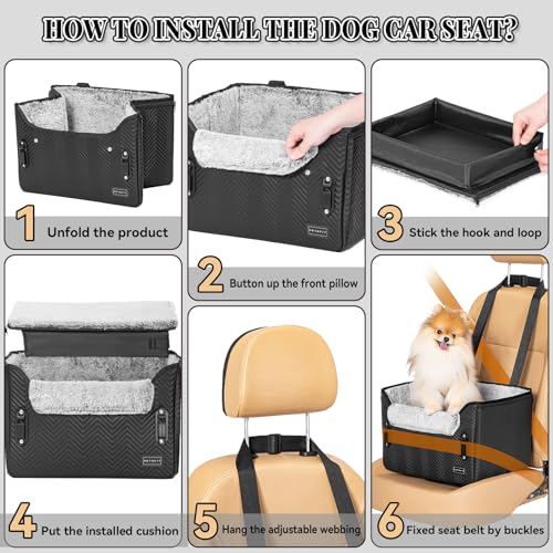 Small Dog Car Seat