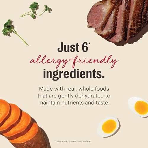Wholemade 6 Ingredient Grain Free Duck Recipe (10 Pound (Pack of 1))