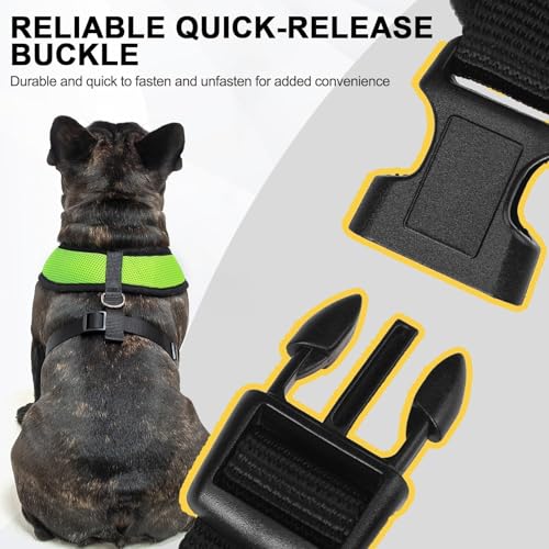 Small Dog Harness (XL (NECK: 20.5", CHEST: 20.5"-27") / Green)