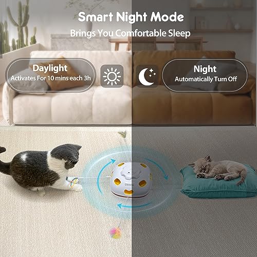 Cat Toys Interactive Cat Toys for Indoor Cats