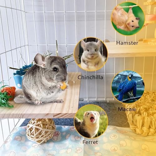 2PCS Chinchilla Wooden Platform Ledge 13 × 8 ’’ Large Bird Perch Stand Shelf Platform for Ferret Bunny Guinea Pig Conure Hamster Parrot Macaw Cockatiel (13 × 7.9 inch)