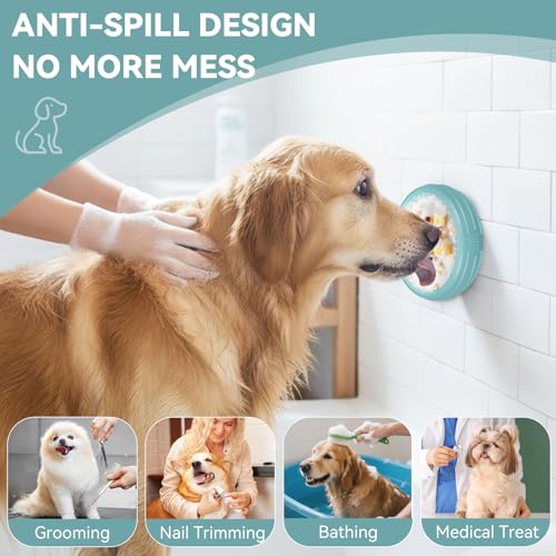 Dog Lick Bowl (XL / Teal)
